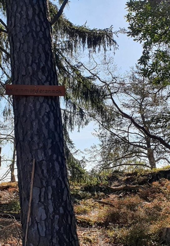 am Kleinm&ouml;dersnack | &copy; T. Biersch