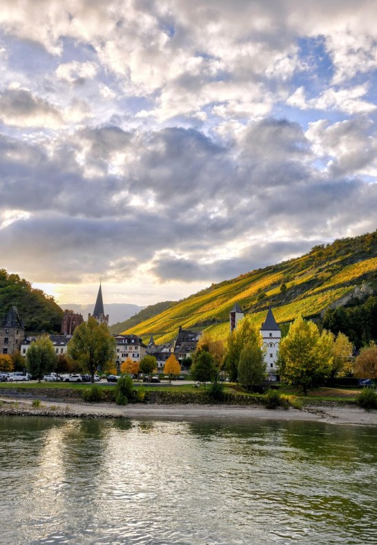Bacharach in de herfst &ndash; Rijnzicht & wijngaarden | &copy; Moock