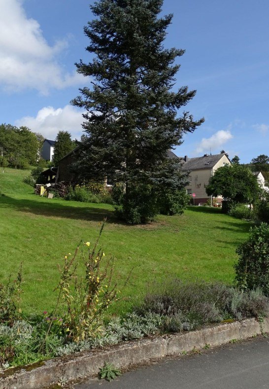 Garden pic 1 | &copy; Hamm