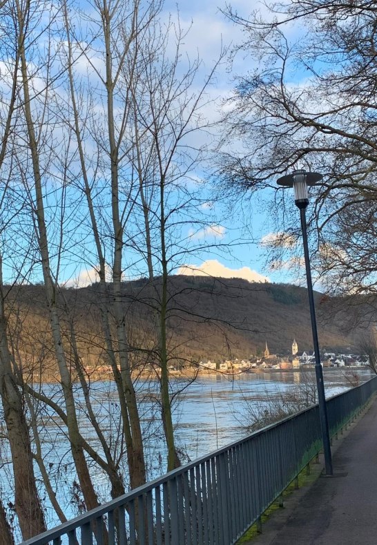 Rheinanlagen2 | &copy; Kathrin Gipp