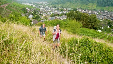 RheinBurgenWeg bei Winningen | &copy; Dominik Ketz, Romantischer Rhein Tourismus GmbH