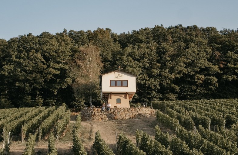 Weinbergshaus by Diefenhardt | &copy; Weingut Diefenhardt