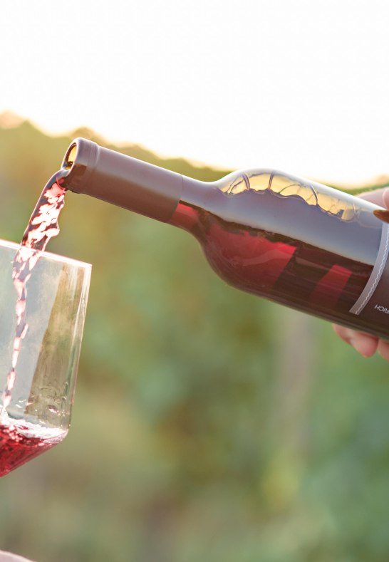 Weingut Eser alles neu-35 | &copy; Weingut Eser