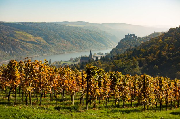Blick auf das herbstliche Oberwesel | © Henry Tornow Blick auf das herbstliche Oberwesel | © Henry Tornow