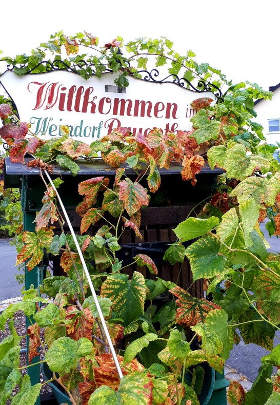 20200929_123348 | &copy; Daniela Herrmann