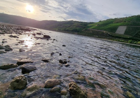 Rhein | © Ulrike Dallmann Rhein | © Ulrike Dallmann