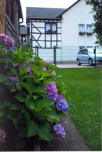 Garten3 | &copy; Ferienwohnung Marx