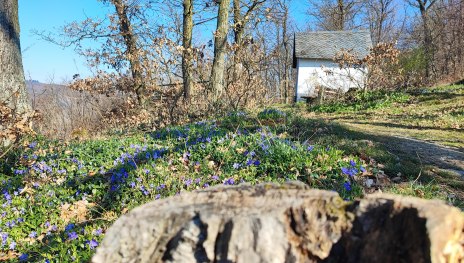 Kapelle | &copy; Ulrike Dallmann