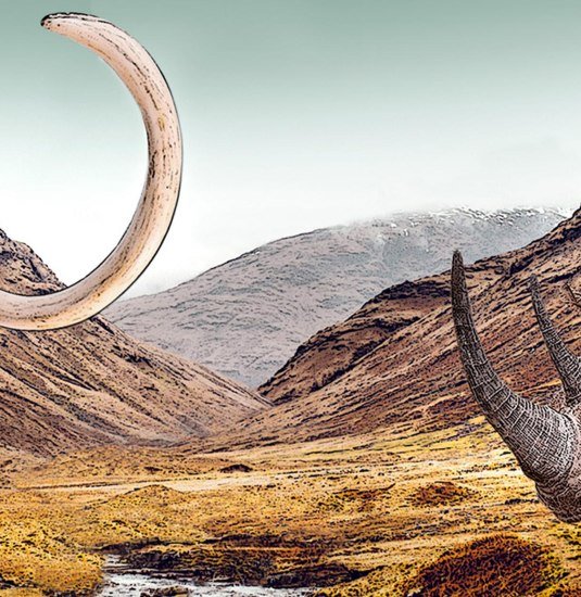 Mammut und Wollnashorn in Mammutsteppe_Comicstyle | © LEIZA/N. Viehöver Mammut und Wollnashorn in Mammutsteppe_Comicstyle | © LEIZA/N. Viehöver