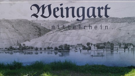 Weingart | © Weingut Weingart Weingart | © Weingut Weingart