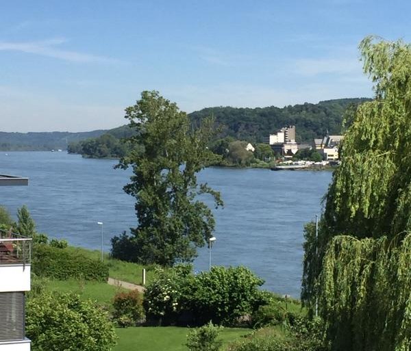 Rheinblick | &copy; Ferienwohnung Sonnenschein am Rheinufer