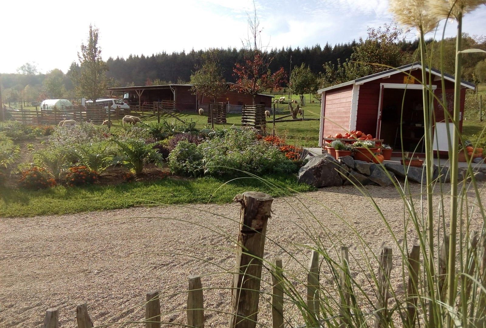 Verkaufshäuschen Permakultur | © Andernach.net Verkaufshäuschen Permakultur | © Andernach.net