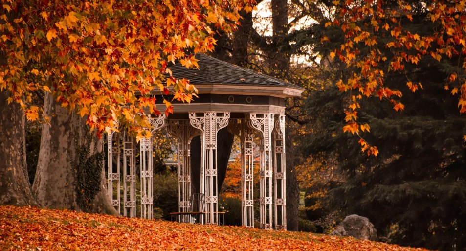 Herbst | &copy; Koblenz-Touristik GmbH, Johannes Bruchhof