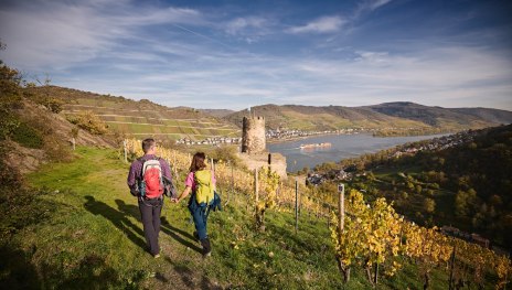 &copy; Marco Rothbrust, Mittelrhein