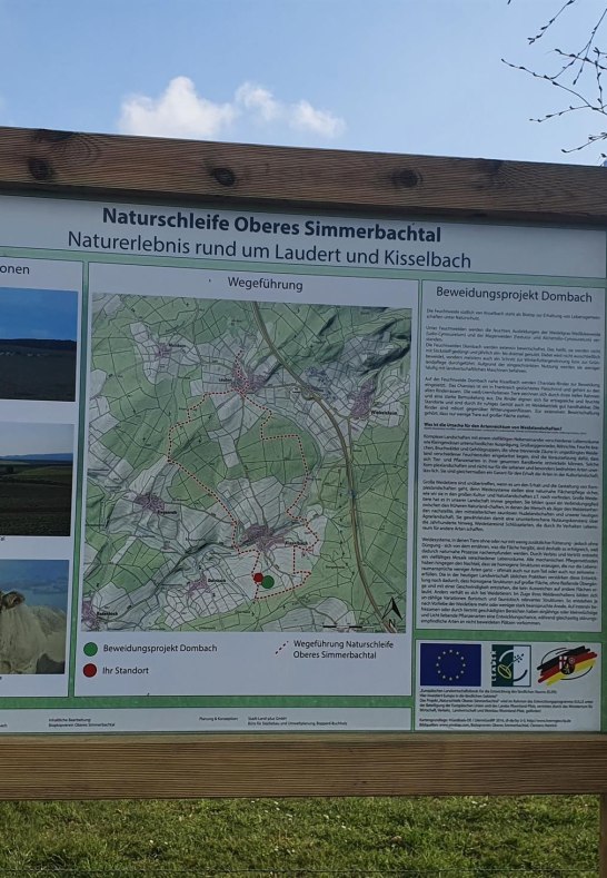 Naturschleife Oberes Simmerbachtal | &copy; T. Biersch