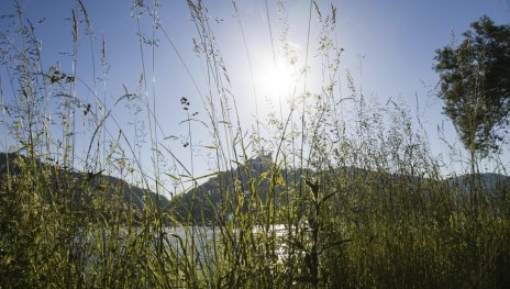 Ausblick Marksburg | &copy; Ferienwohnung Marksburg-Panorama