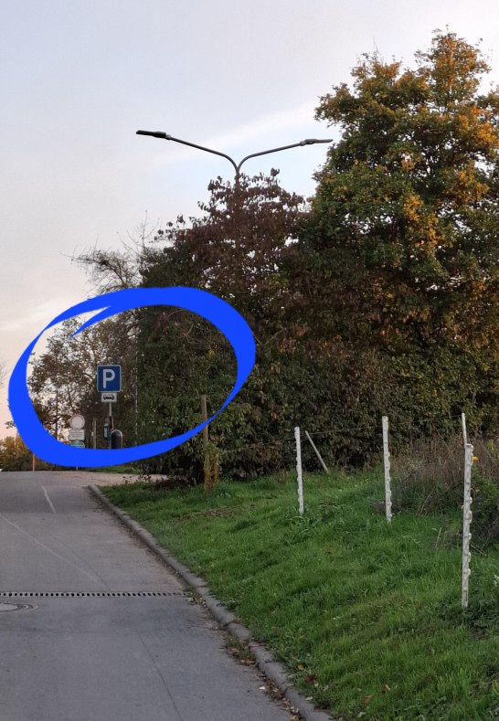 20241022_180923 | &copy; Daniela Herrmann