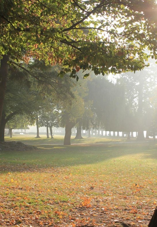 Hafenpark | © Rüdesheim Tourist AG - Gaby Schäfer Hafenpark | © Rüdesheim Tourist AG - Gaby Schäfer