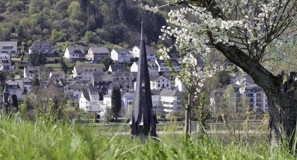 Frühling | © Sebastian Reifferscheid Frühling | © Sebastian Reifferscheid