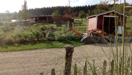 Verkaufsh&auml;uschen Permakultur | &copy; Andernach.net