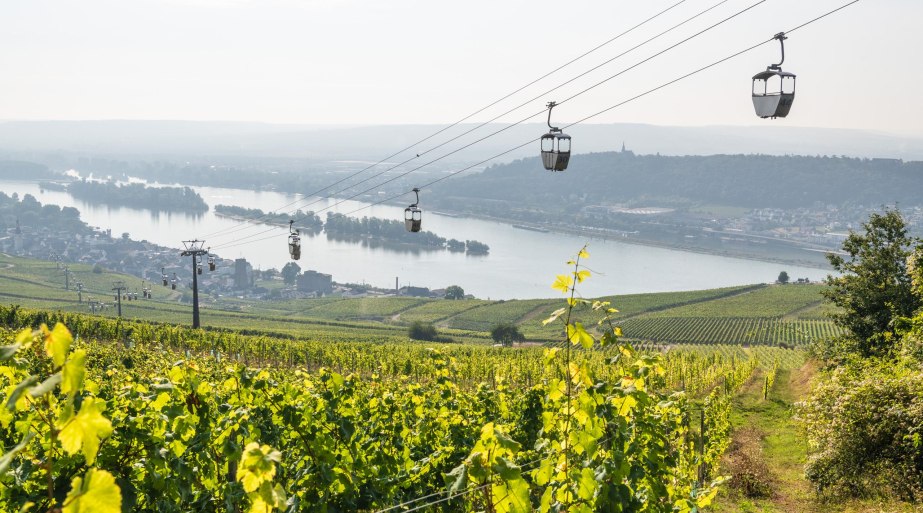 Seilbahn in R&uuml;desheim | &copy; Dominik Ketz / Bingen Tourismus & Kongress GmbH