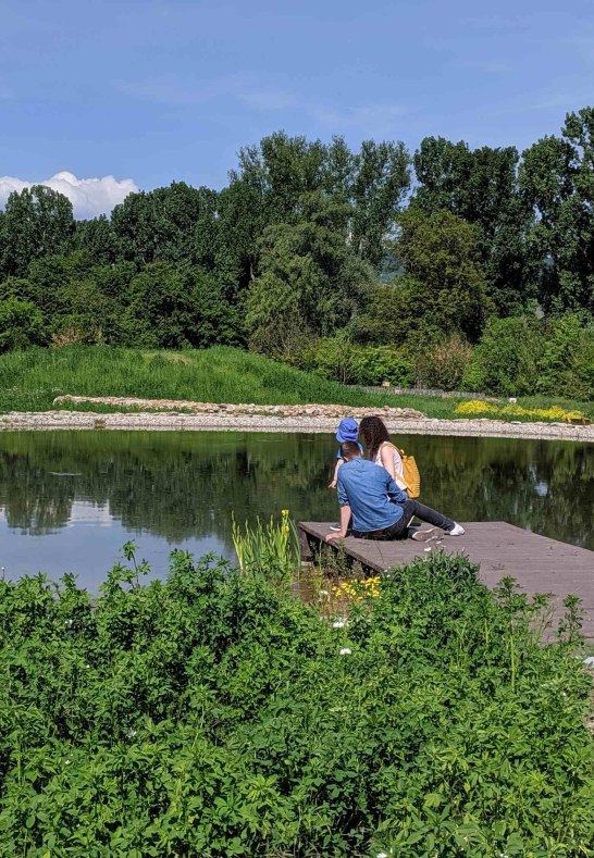 Teich im Nabu Zentrum | © Nabu Zentrum Rheinauen Teich im Nabu Zentrum | © Nabu Zentrum Rheinauen