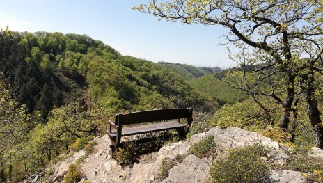 Traumschleife Hasenkammer | © Tourist Information Boppard, Romantischer Rhein Tourismus GmbH Traumschleife Hasenkammer | © Tourist Information Boppard, Romantischer Rhein Tourismus GmbH