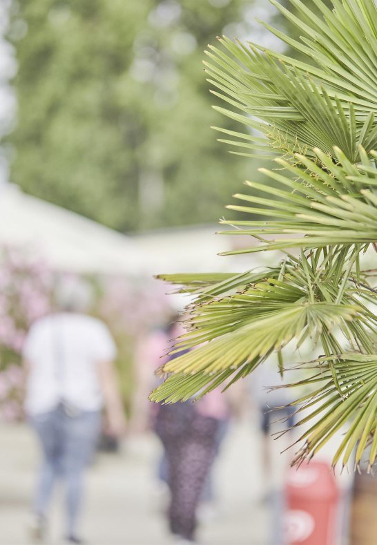 Koblenz Touristik, Picture Colada4 | © Koblenz Touristik, Picture Colada Koblenz Touristik, Picture Colada4 | © Koblenz Touristik, Picture Colada