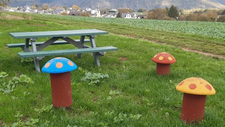 Picknickbank mit Taunusblick | © T. Biersch Picknickbank mit Taunusblick | © T. Biersch