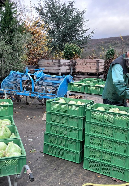 3 | &copy; Katringer Gr&uuml;nzeug eG