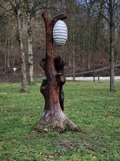 Bär | © Tourist Information Boppard Bär | © Tourist Information Boppard