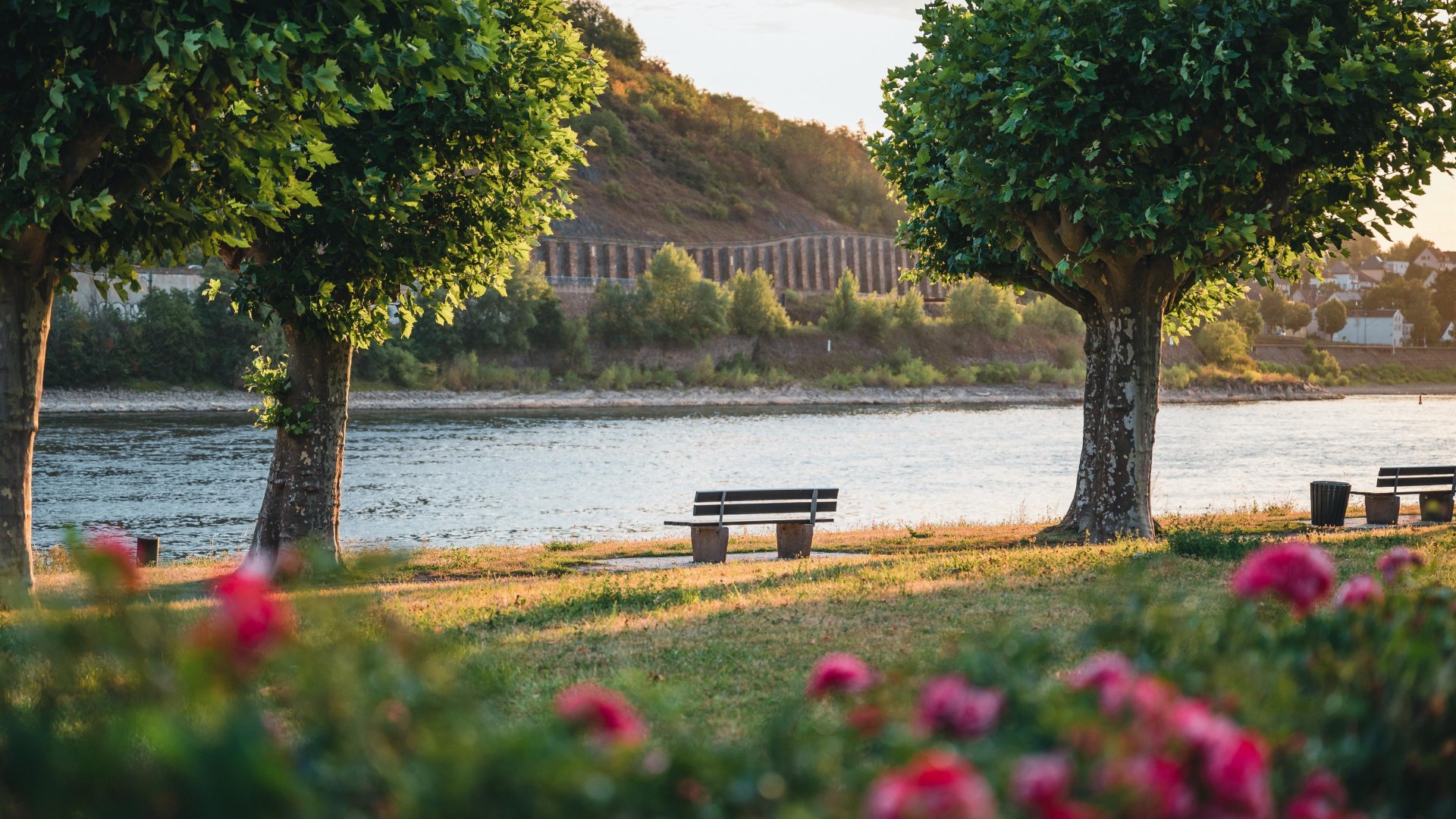 Rheinanlagen | © Christoph Partsch
