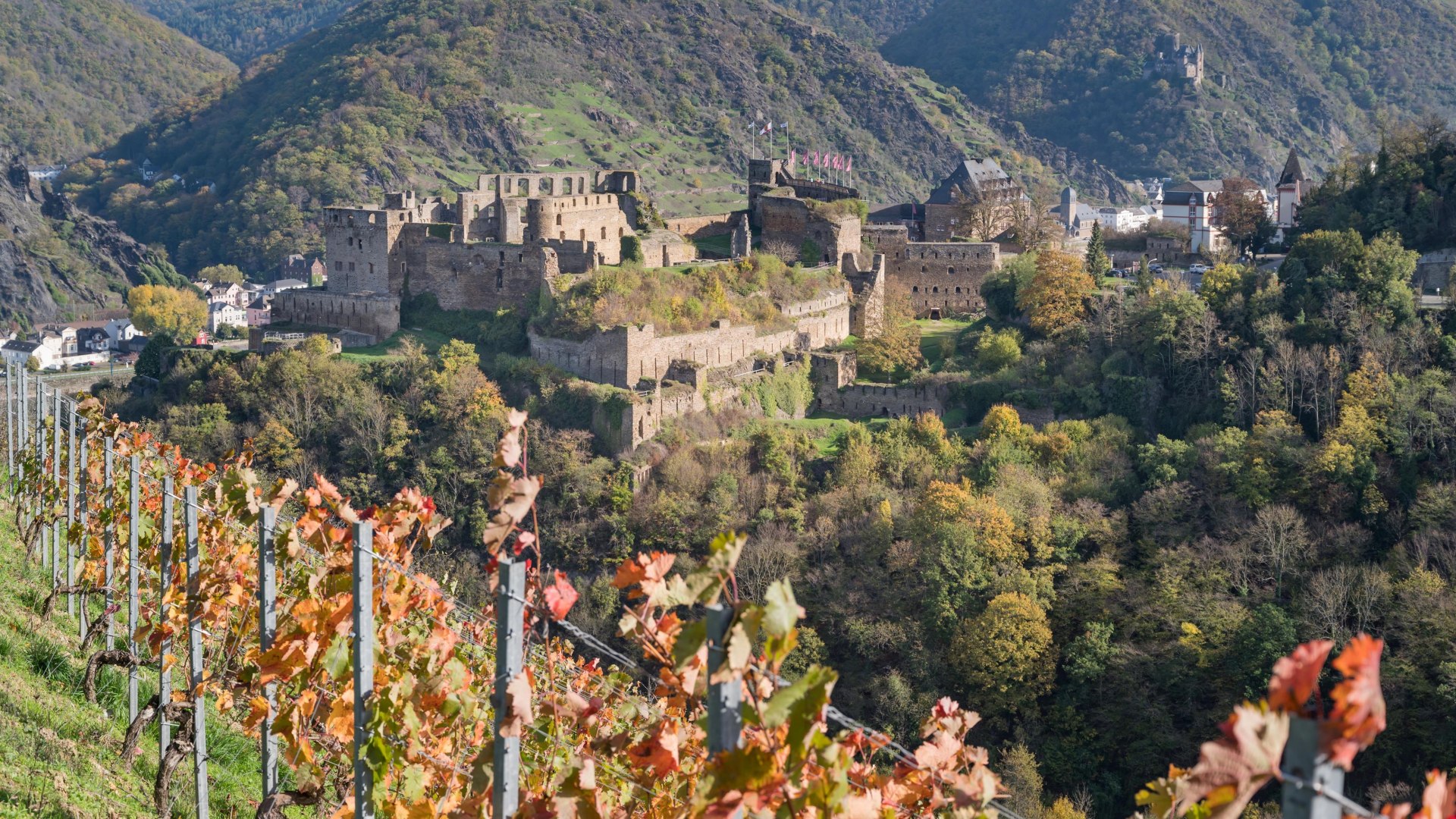 Rheinfels im Herbst | © Andreas Pacek, fototour-deutschland.de Rheinfels im Herbst | © Andreas Pacek, fototour-deutschland.de