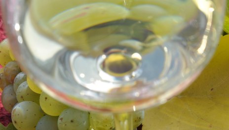 Maiglück im Glas | © Weingut Toni Lorenz Maiglück im Glas | © Weingut Toni Lorenz