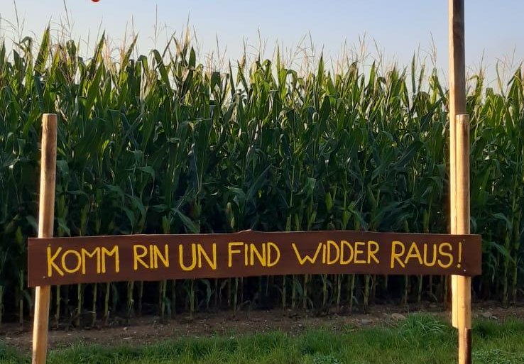 Maislabyrinth 1 | © Mareike Heckel Maislabyrinth 1 | © Mareike Heckel