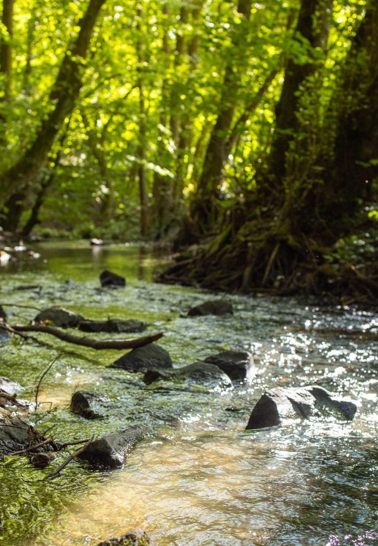 Lebensader | &copy; evand_fotografie