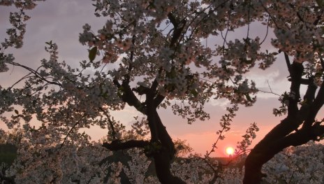 © Klaus-Peter Kappest, Traumpfade im Rhein-Mosel-Eifel-Land © Klaus-Peter Kappest, Traumpfade im Rhein-Mosel-Eifel-Land