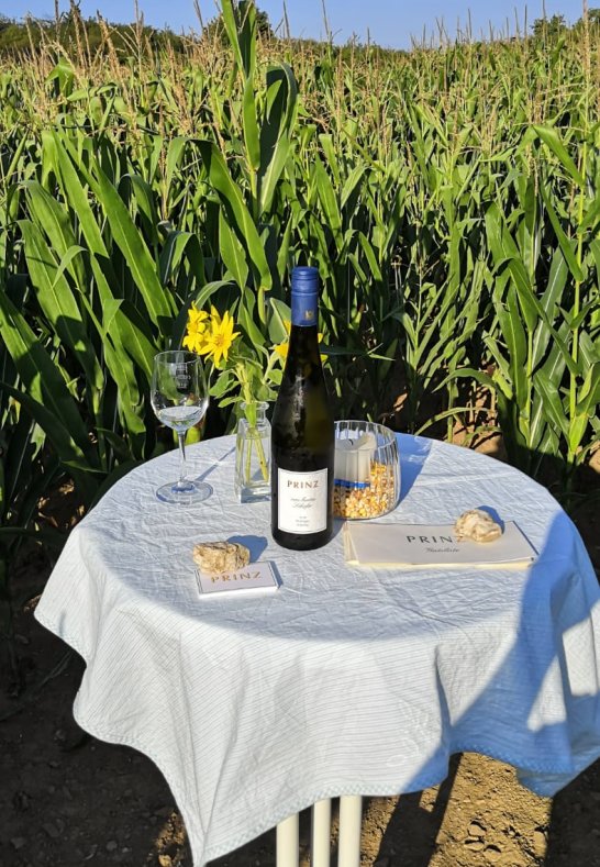 Maislabyrinth 3 | © Florian Prinz Maislabyrinth 3 | © Florian Prinz