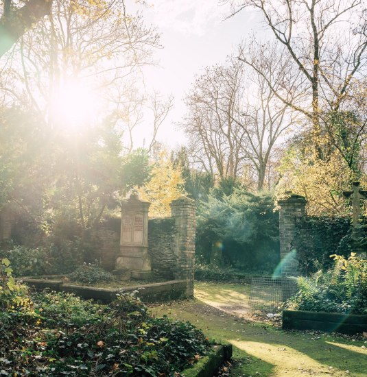 Alter Friedhof | © Zimpfer_Phptpgraphy Alter Friedhof | © Zimpfer_Phptpgraphy