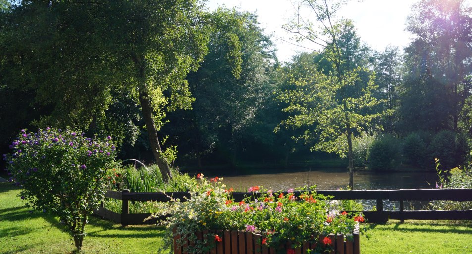 Mühlenteich | © Tourist-Information Erlebnis Rheinbogen Mühlenteich | © Tourist-Information Erlebnis Rheinbogen