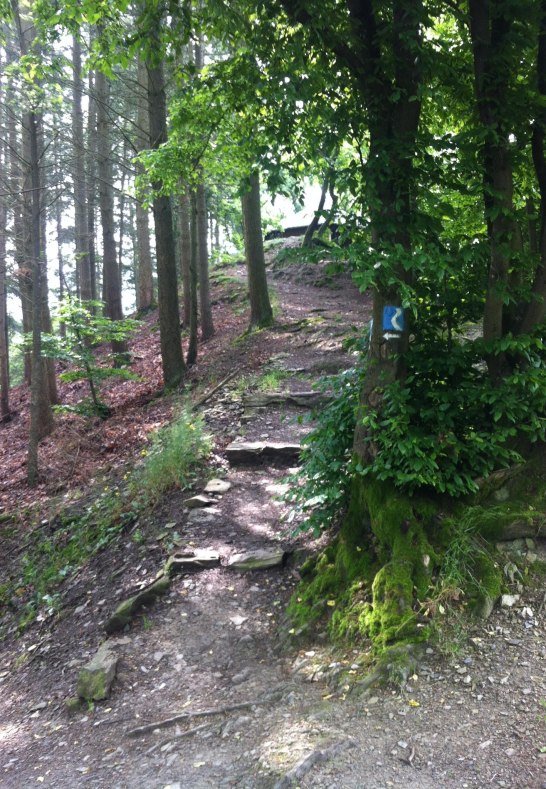 IMG_4131 | &copy; Eigentum