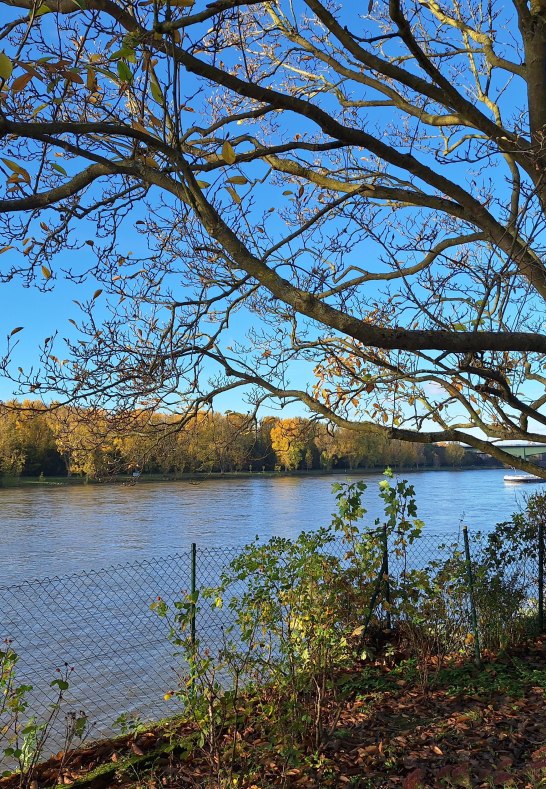 Rheinblick | &copy; Koblenz-Touristik GmbH, J. Assenmacher