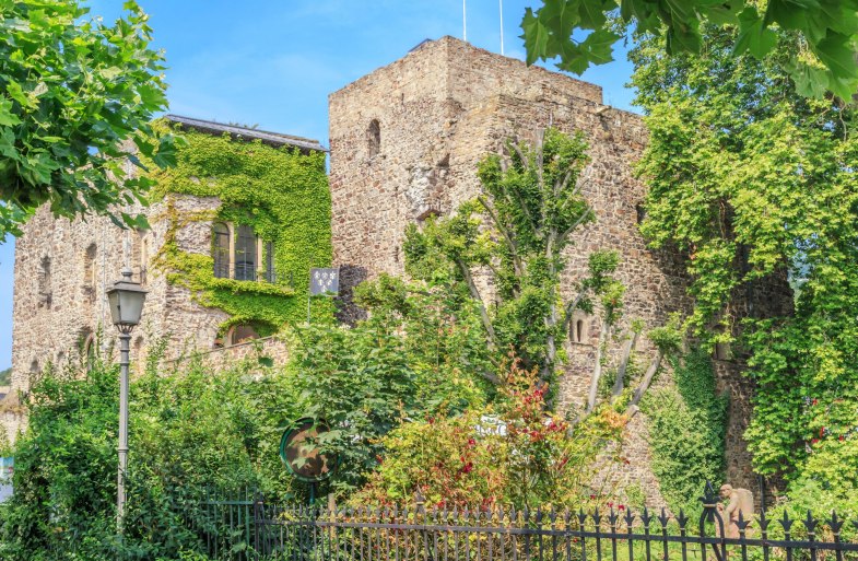 Brömser Burg im Frühjahr | © Marlis Steinmetz Brömser Burg im Frühjahr | © Marlis Steinmetz