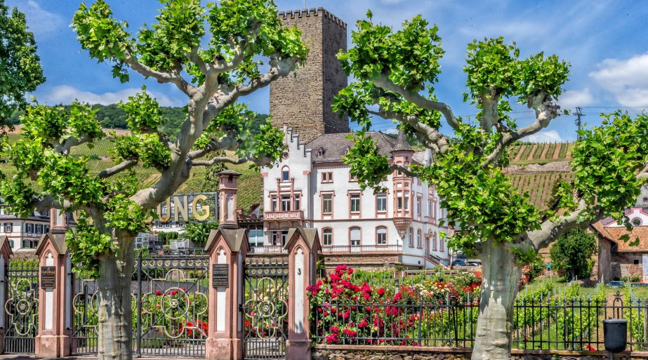 Boosenburg in Rüdesheim | © Rüdesheim Tourist AG Marlis Steinmetz Boosenburg in Rüdesheim | © Rüdesheim Tourist AG Marlis Steinmetz