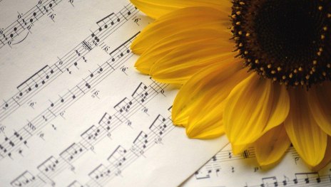 Konzert | © Pixabay Konzert | © Pixabay