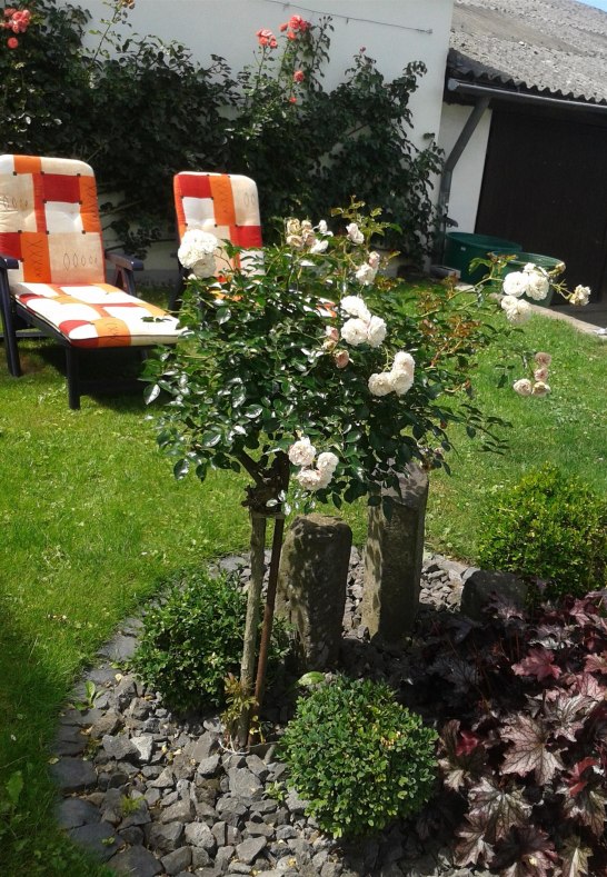 Sitzgelegenheit Garten | &copy; FeWo Funk