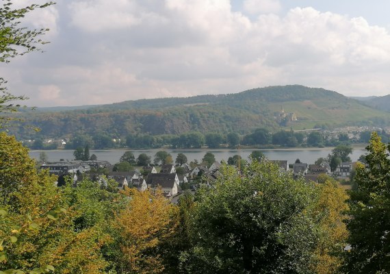 Aussicht vom M&auml;rchenwald | &copy; Tourist-Information Bad Breisig