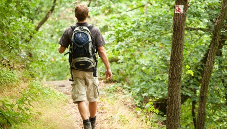 RheinBurgenWeg 04. Etappe Andernach - Bassenheim (Nord-S&uuml;d) | &copy; Dominik Ketz, Romantischer Rhein Tourismus GmbH