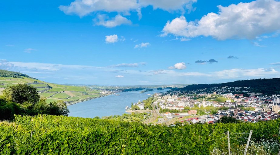 Ausblick | &copy; Greber