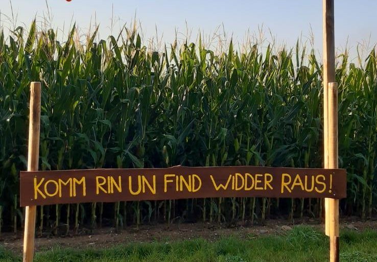 Maislabyrinth 1 | © Mareike Heckel Maislabyrinth 1 | © Mareike Heckel